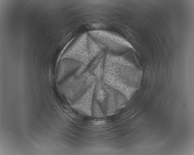 X0000062130651200512301502