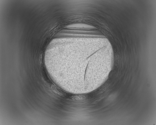 X0000062130652200512301502