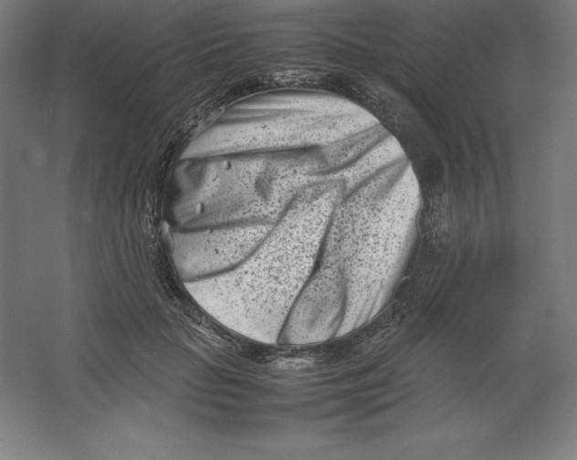 X0000062130653200512301502