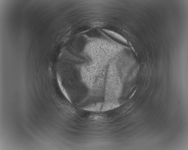 X0000062130655200512301502