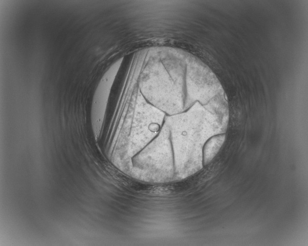 X0000062130656200512301502