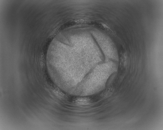 X0000062130659200512301503