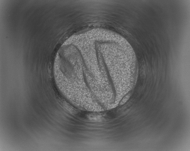 X0000062130661200512301503