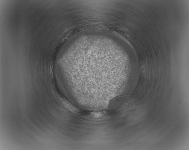 X0000062130662200512301503