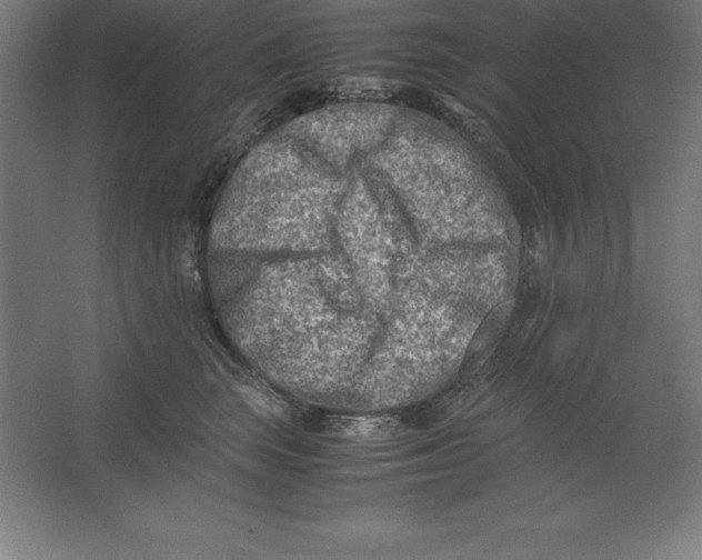 X0000062130663200512301503