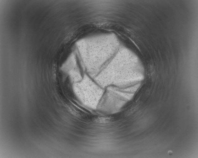 X0000062130664200512301503