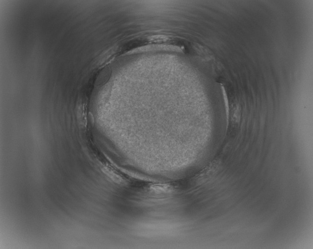 X0000062130666200512301503