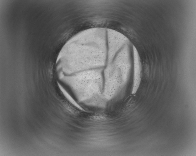 X0000062130668200512301503