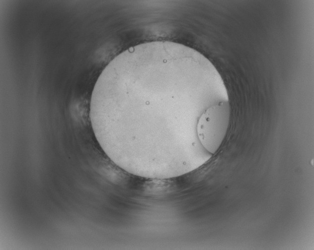 X0000062130672200512301503