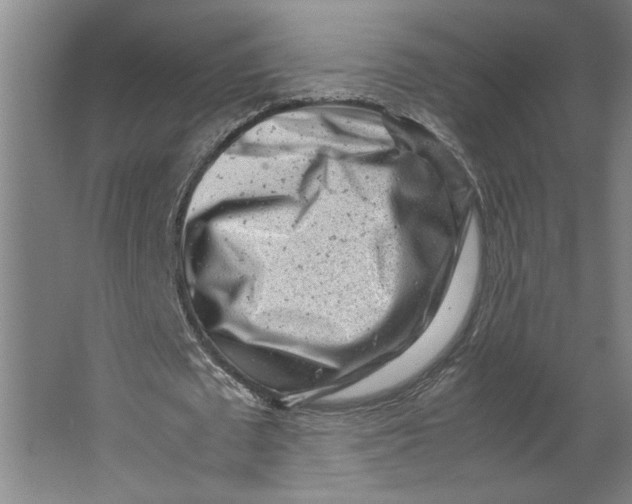 X0000062130673200512301502