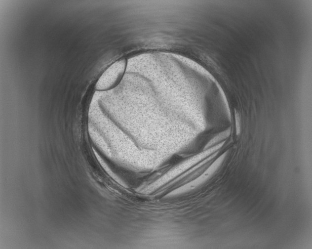 X0000062130675200512301502