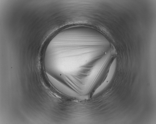 X0000062130676200512301502