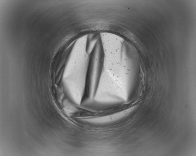 X0000062130677200512301502