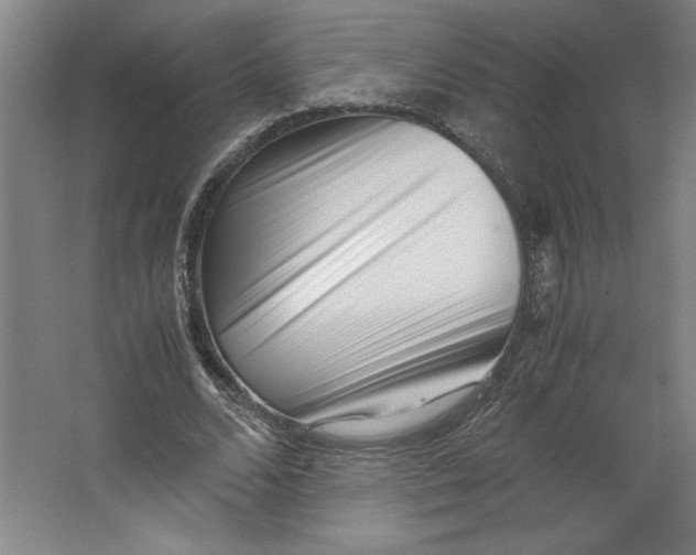 X0000062130680200512301502