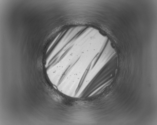 X0000062130681200512301502