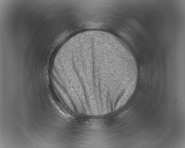 X0000062130682200512301502