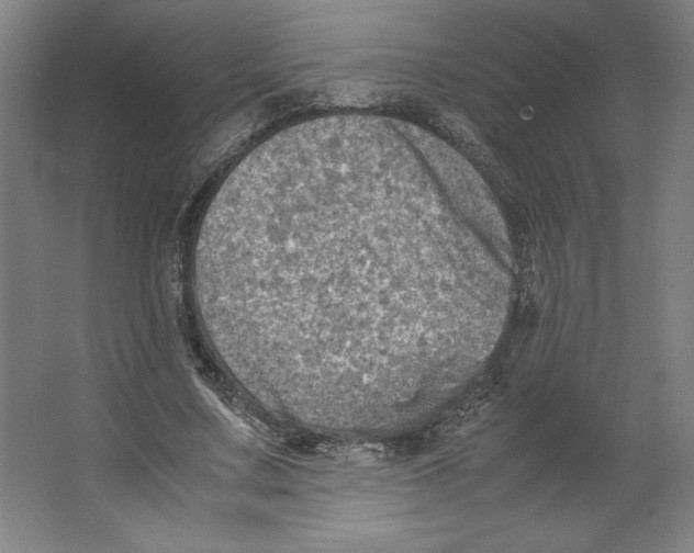 X0000062130683200512301502