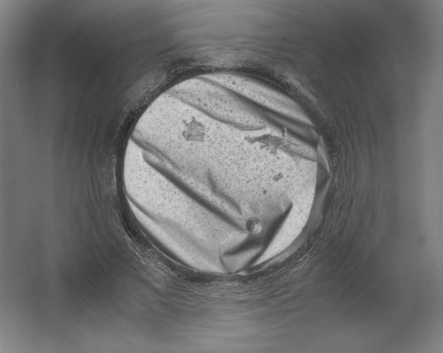 X0000062130685200512301502