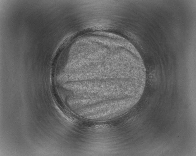 X0000062130686200512301502