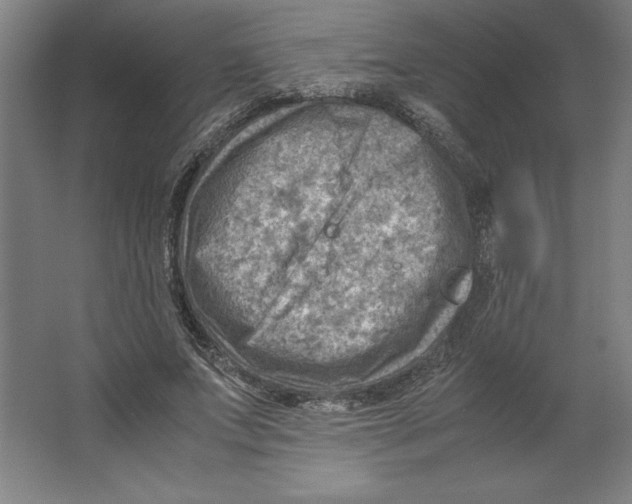 X0000062130687200512301502