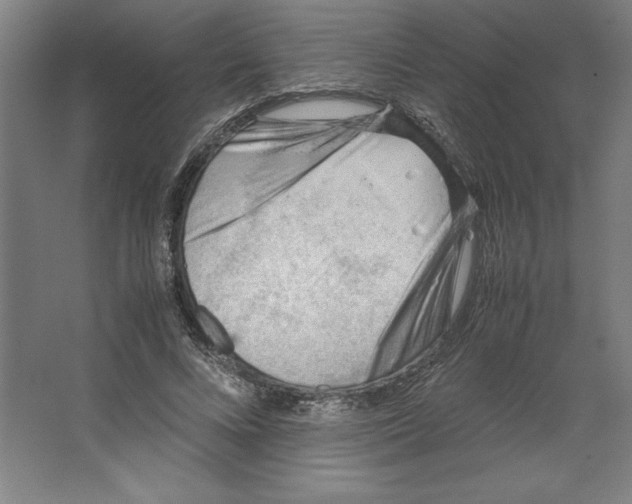 X0000062130688200512301502