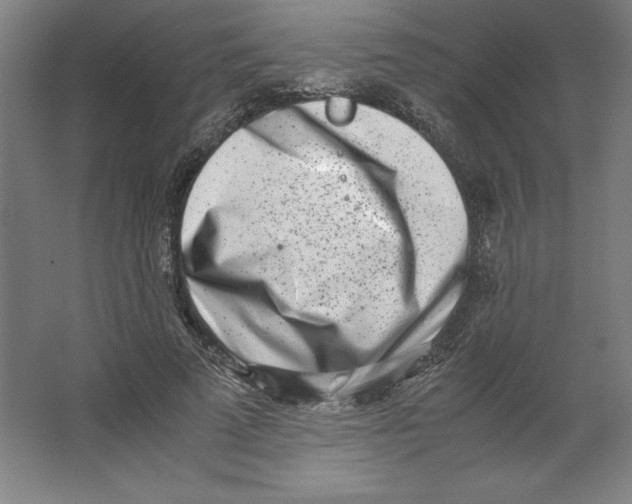 X0000062130689200512301502