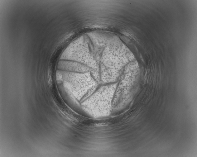 X0000062130692200512301502