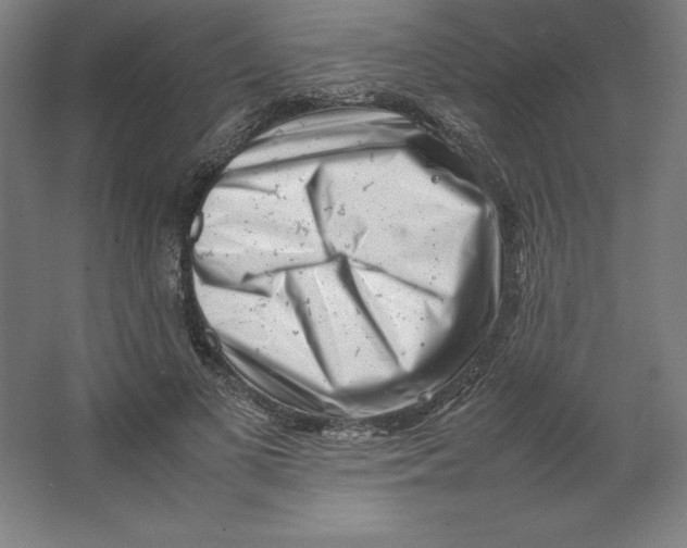 X0000062130693200512301502