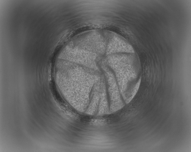 X0000062130694200512301502