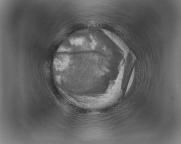 X0000062130695200512301502