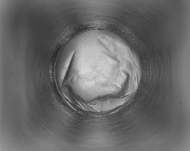 X0000062130696200512301502