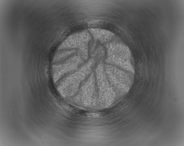 X0000062130698200512301502