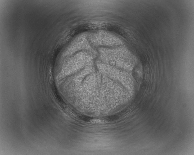 X0000062130699200512301501