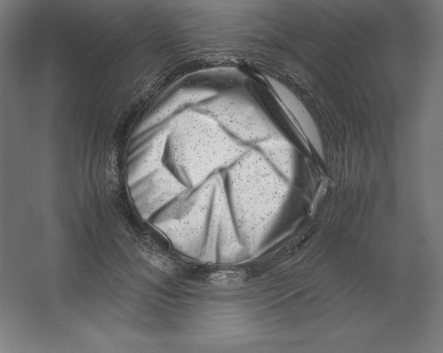 X0000062130700200512301501