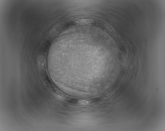 X0000062130701200512301501