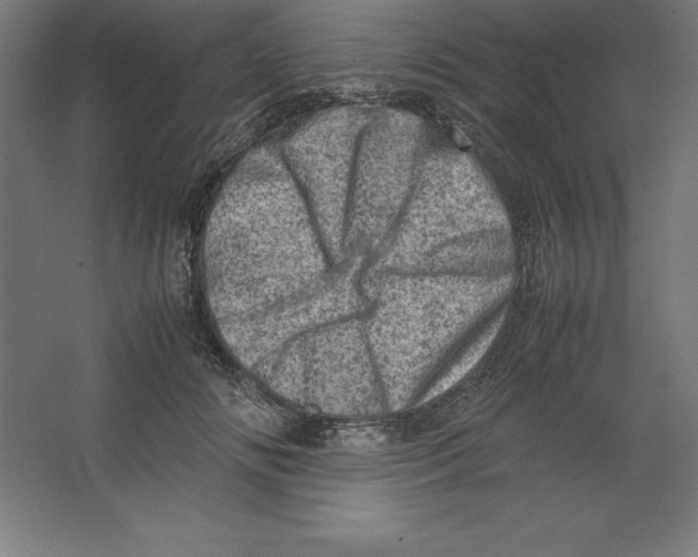 X0000062130702200512301501