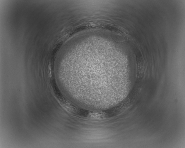 X0000062130703200512301501