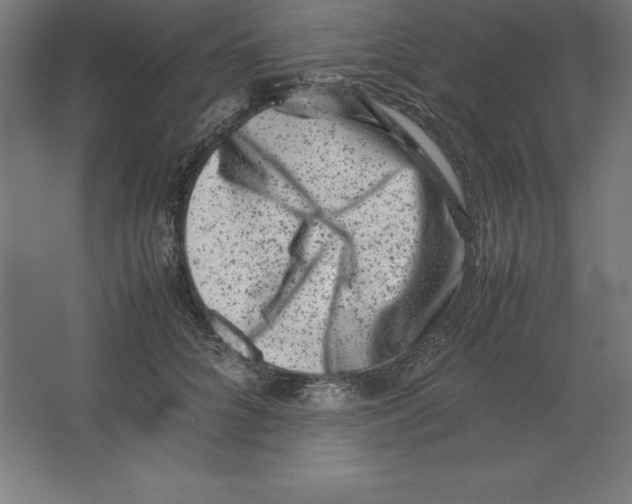 X0000062130704200512301501