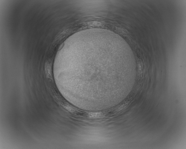 X0000062130705200512301501