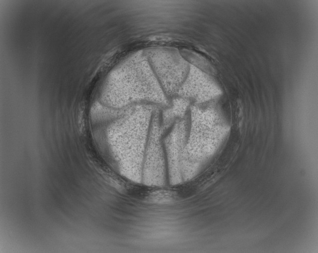 X0000062130708200512301501