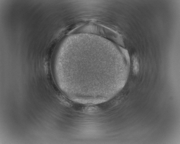 X0000062130716200512301501