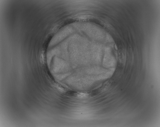 X0000062130718200512301501