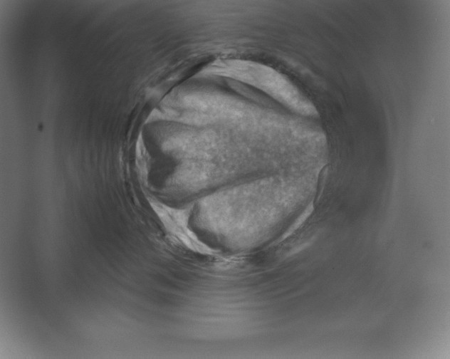 X0000062130720200512301501