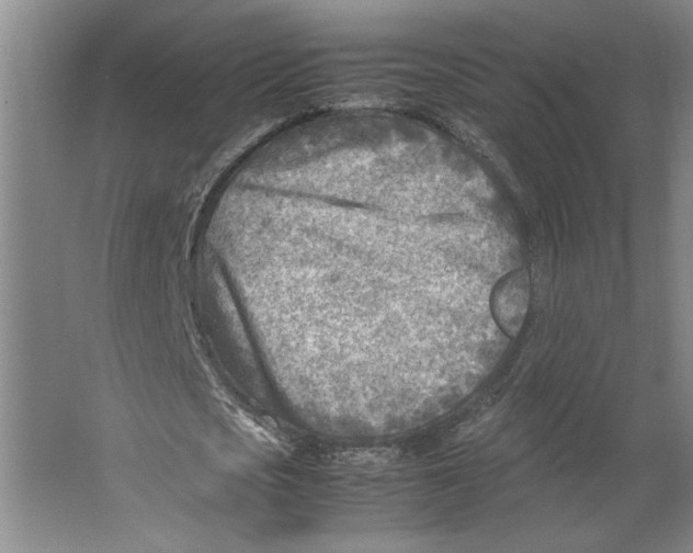 X0000062130721200512301500