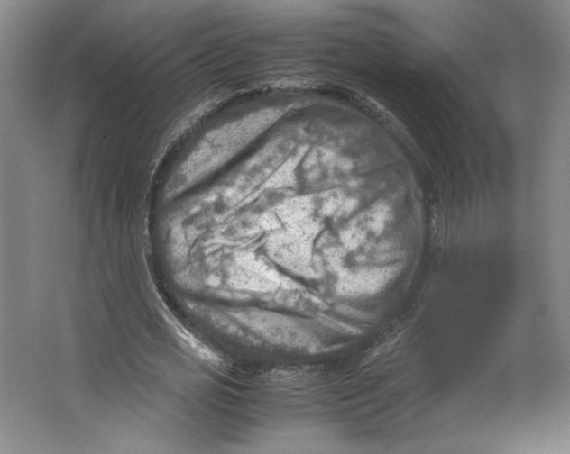 X0000062130725200512301500