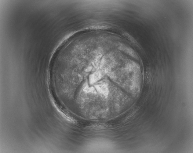 X0000062130726200512301500