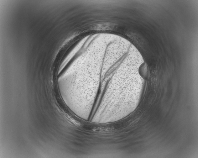 X0000062130727200512301500