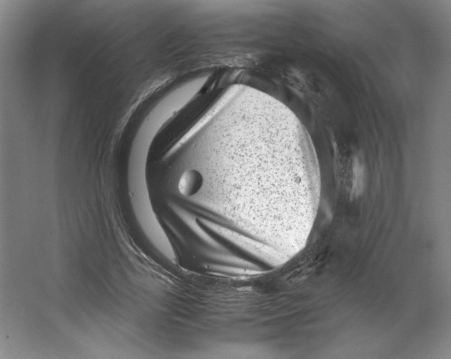 X0000062130731200512301500