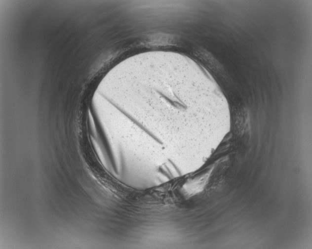 X0000062130732200512301501