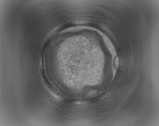 X0000062130733200512301501